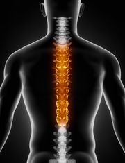 Chiropraktiker Chiropraktiker
